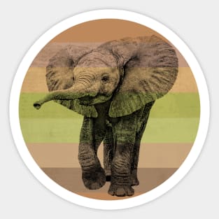 Cute Baby Elephant on Retro-style Sunset in Africa Colors Sticker